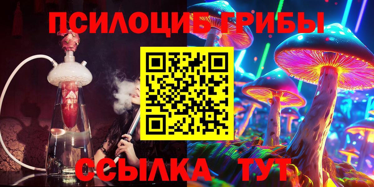 Галлюциногенные грибы Psilocybine cubensis  Вход с VPN  Выборг 